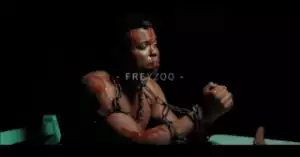 Freyzoo - Broken